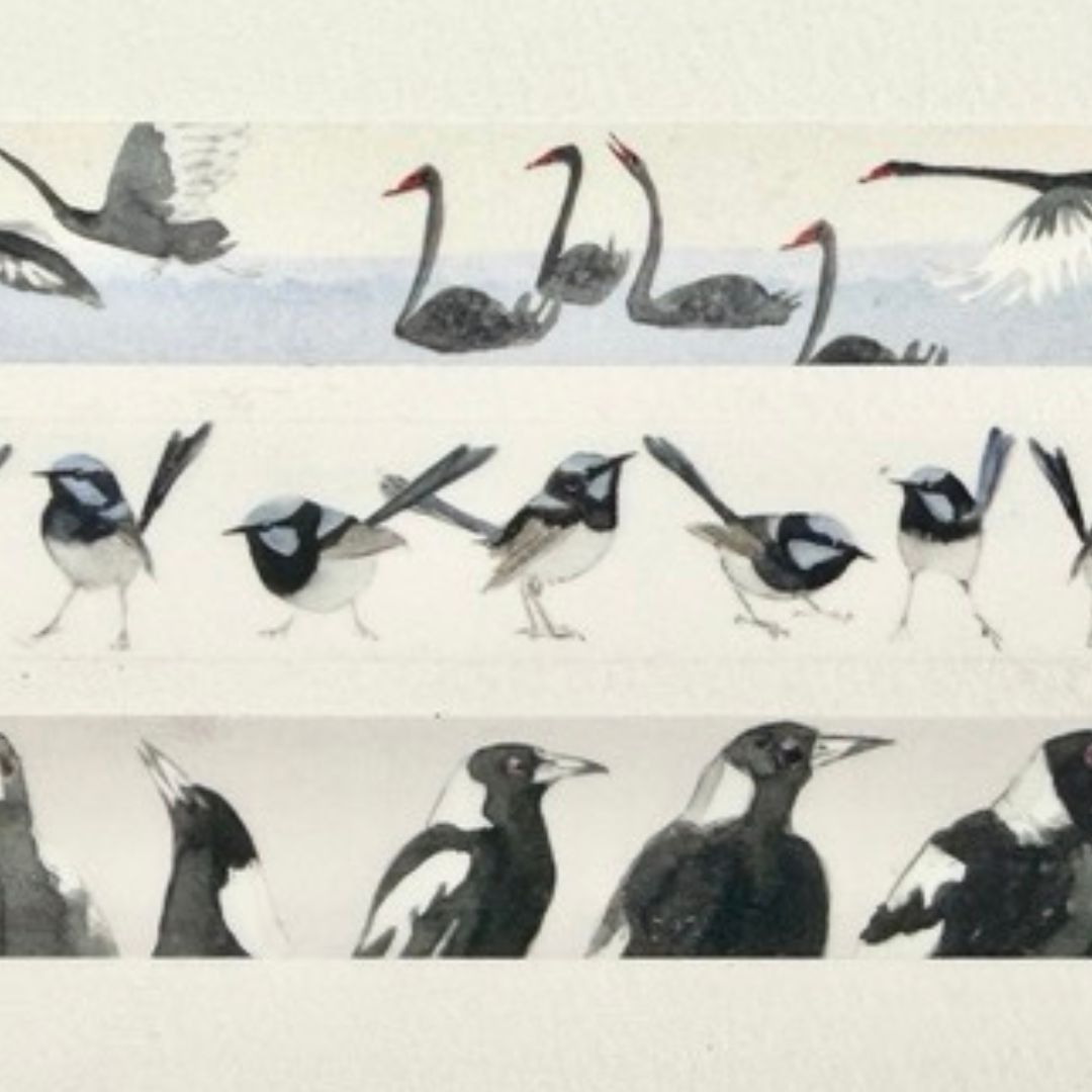 Black Swan (15mm) Washi Tape by Bridget Farmer