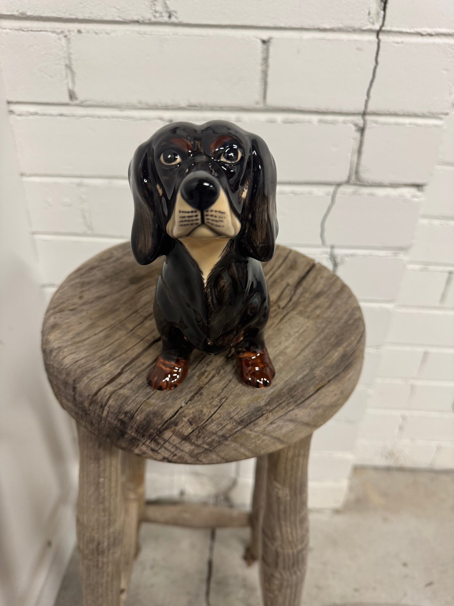 Dachshund Ceramic Money Box (Black)