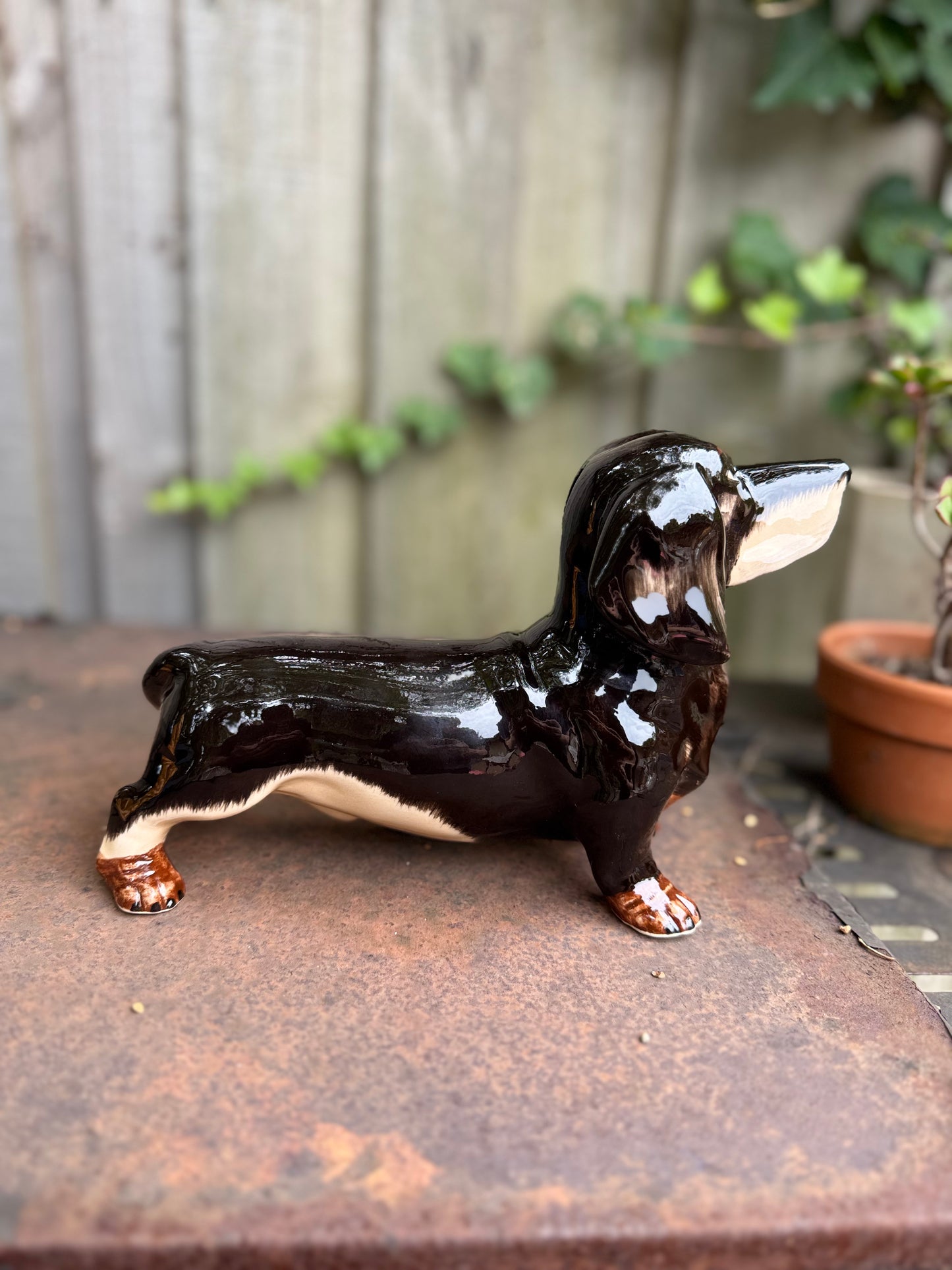 Dachshund Ceramic Money Box (Black)