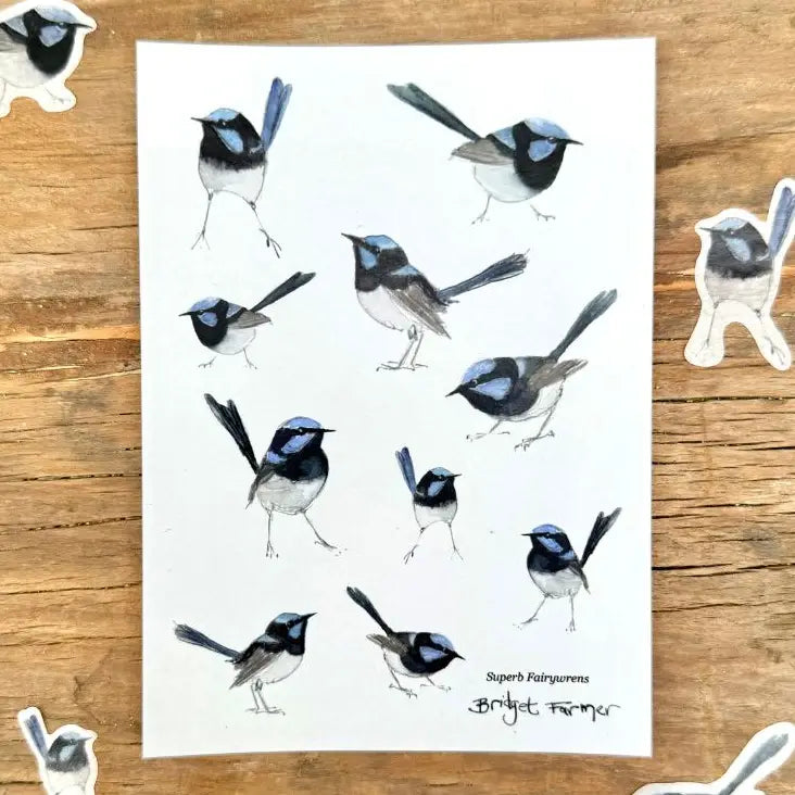 Bridget Farmer A6 Sticker Sheet - Fairywren