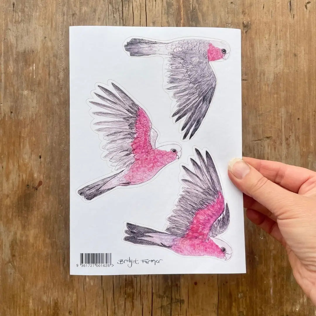 Bridget Farmer A5 Sticker Sheet - Galahs