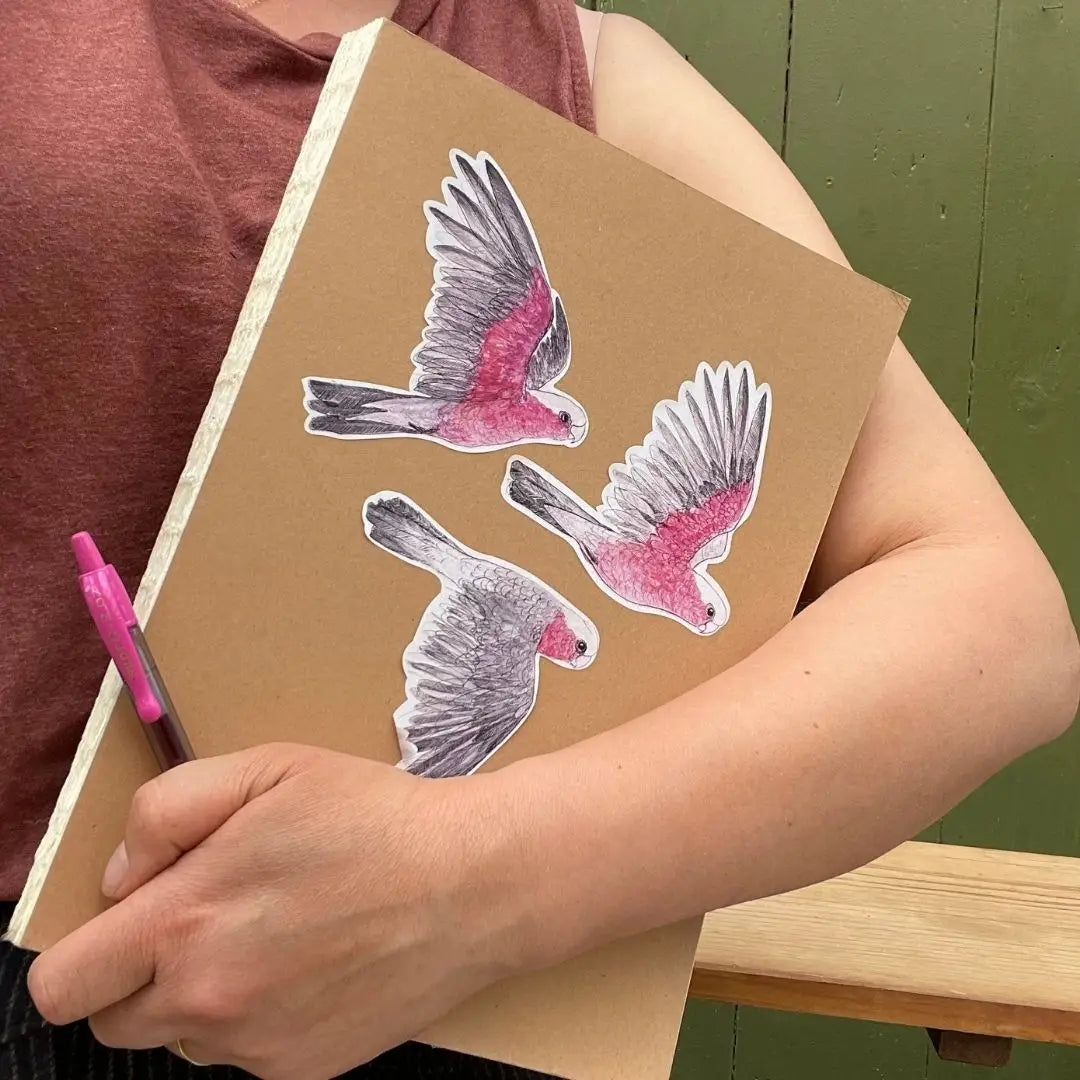 Bridget Farmer A5 Sticker Sheet - Galahs