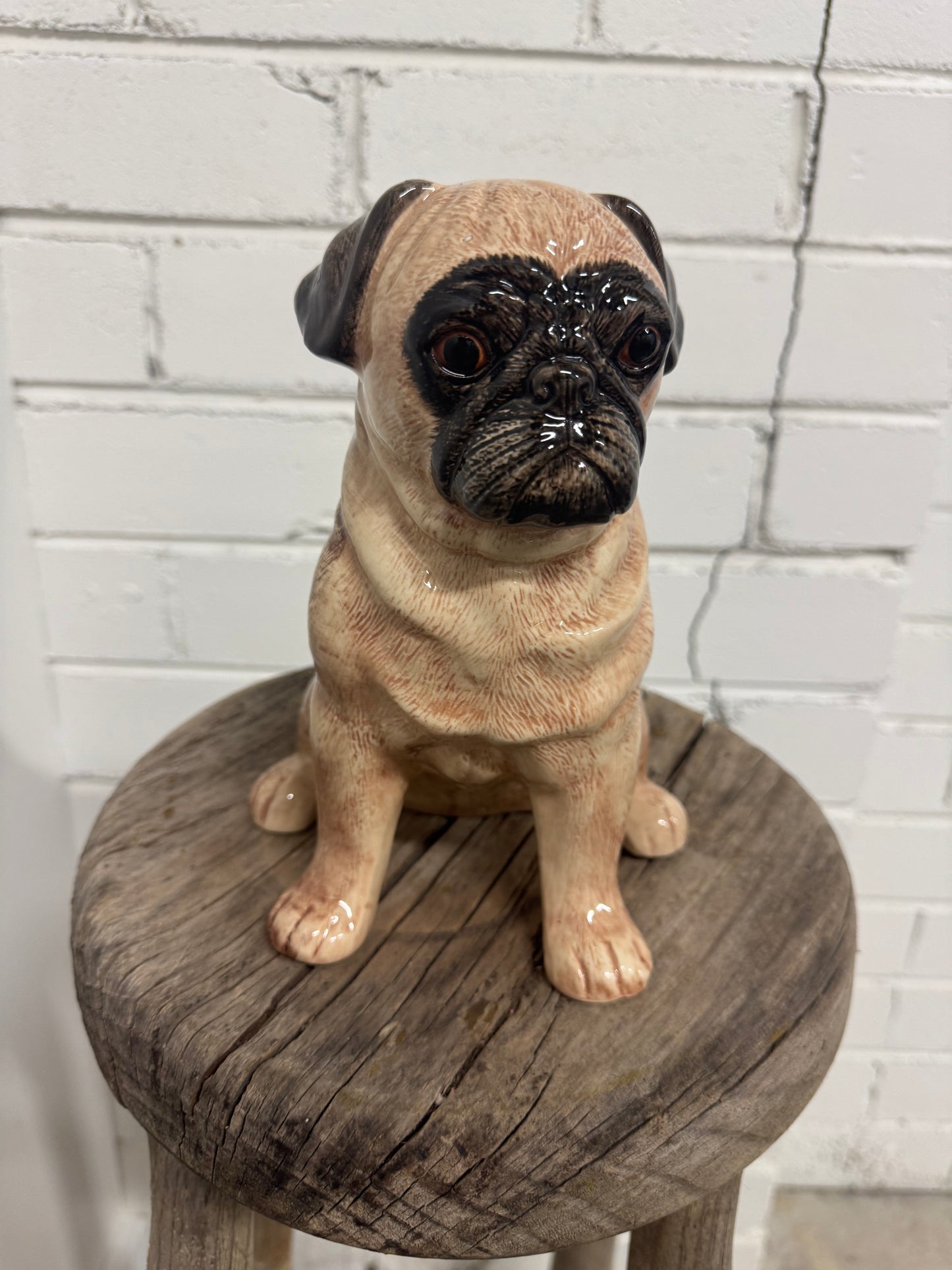 Pug Ceramic Dog Money Box