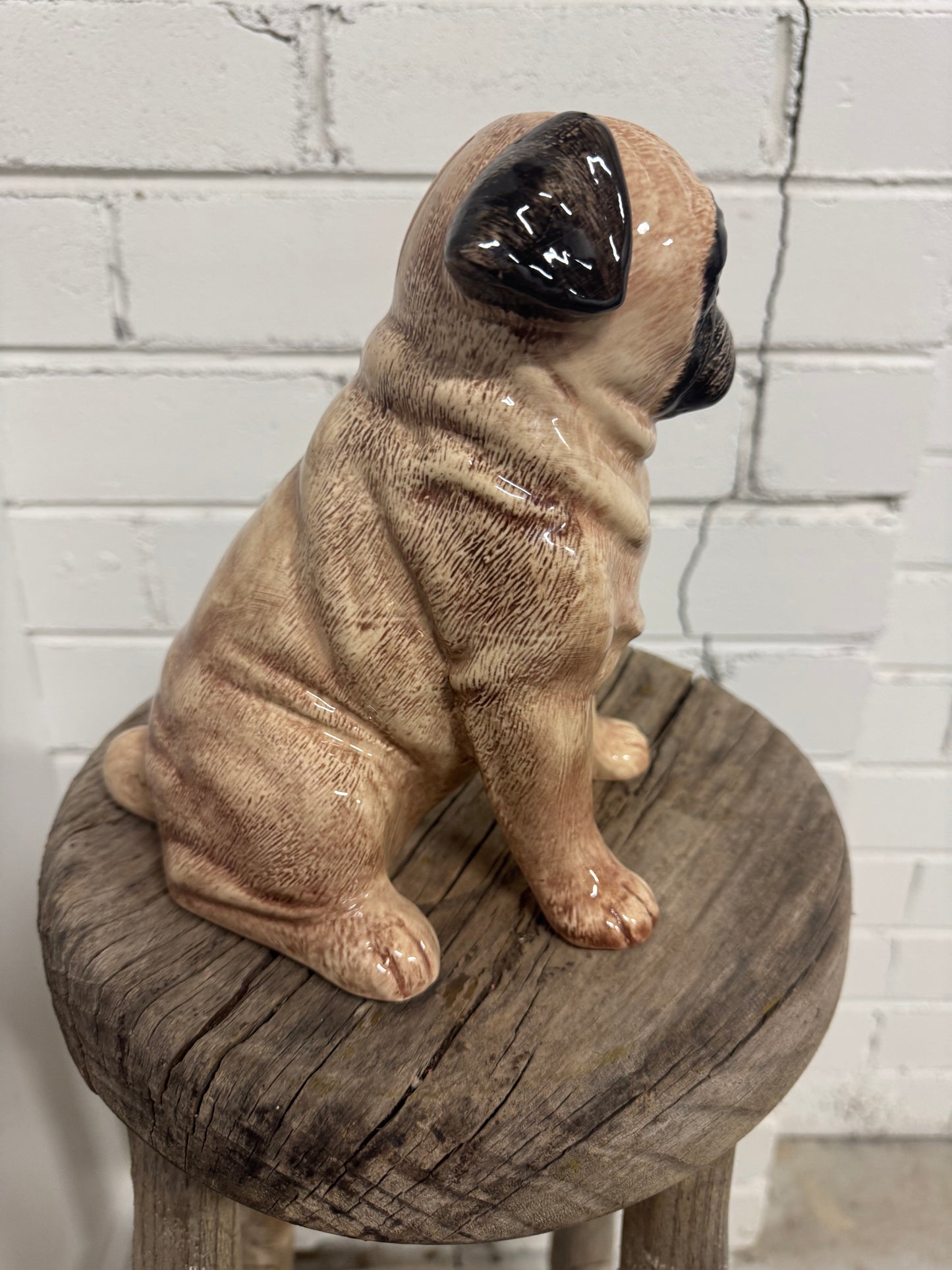 Pug Ceramic Dog Money Box